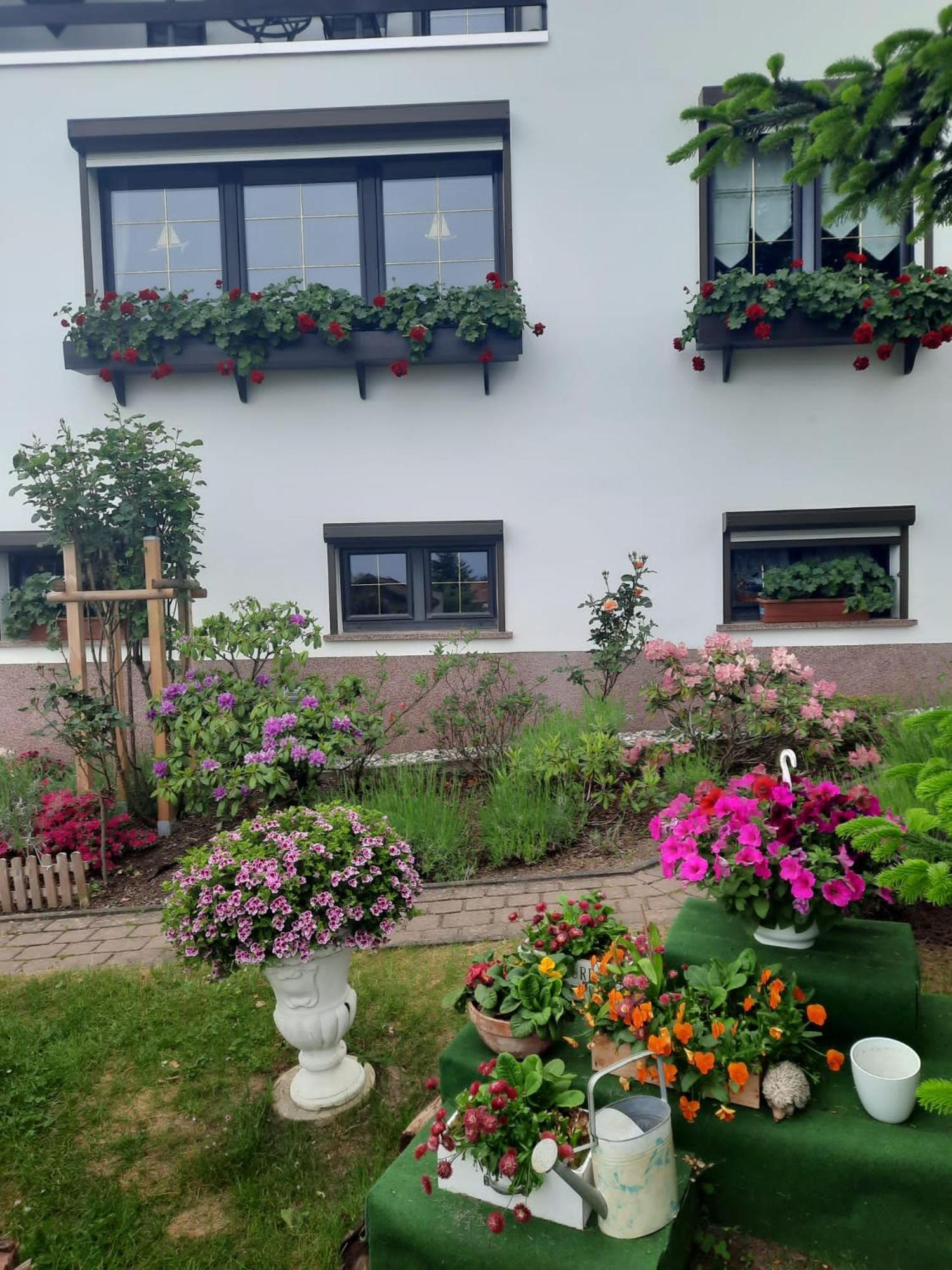 Gernrode  Ferienwohnung"Harzliebe" מראה חיצוני תמונה